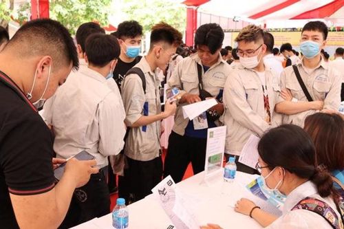Xu hướng việc làm năm 2024 biến động ra sao?