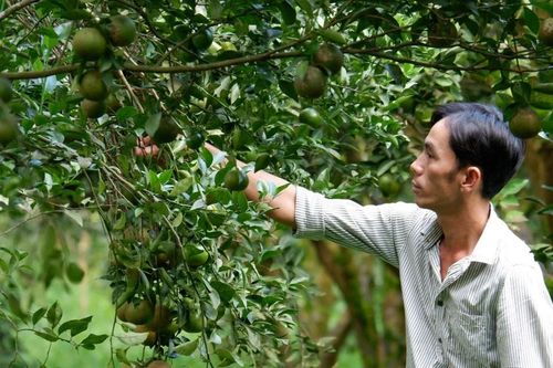 Chuyện đi 'mở đất' trên lòng hồ Trị An - Bài 2: Khát vọng làm giàu ở vùng đất chiến khu xưa