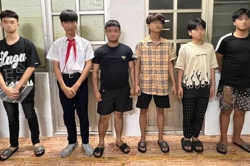 Đừng manh động