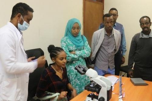 WHO ứng phó với dịch bệnh Leishmania 'chưa từng có' ở Ethiopia