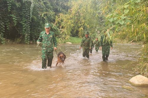 Chủ động, tích cực tuần tra, kiểm soát đường biên, cột mốc dịp cuối năm