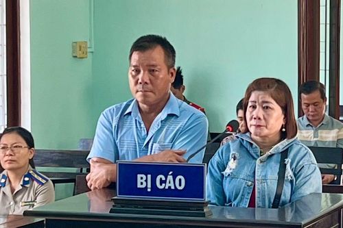 Cố ý tẩu tán tài sản bị kê biên để đảm bảo thi hành án, đôi vợ chồng ở Bình Định lãnh 54 tháng tù