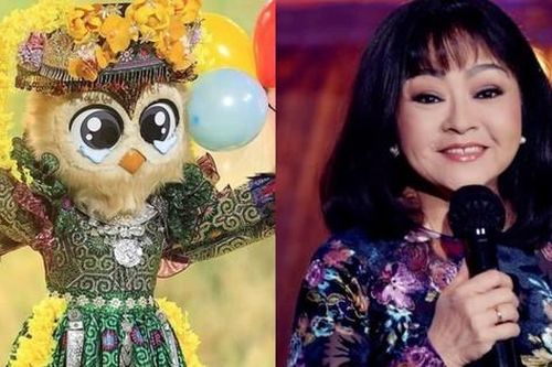 Cú Tây Bắc liệu có là quán quân Ca sĩ mặt nạ?