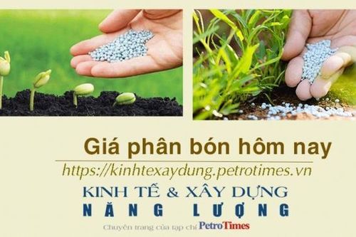 Giá phân bón hôm nay 16/12: Thị trường trầm lắng