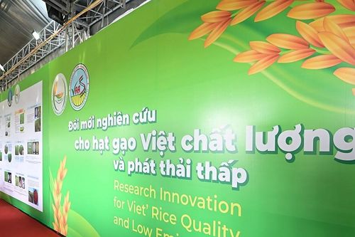 Giúp hợp tác xã nông nghiệp nâng cao năng lực thích ứng biến đổi khí hậu
