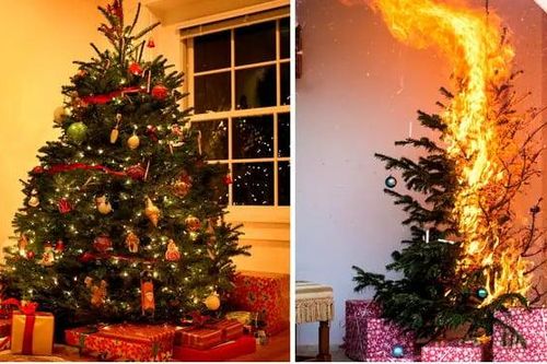Hiểm họa từ cây thông Noel, chỉ 10 giây đã cháy rụi