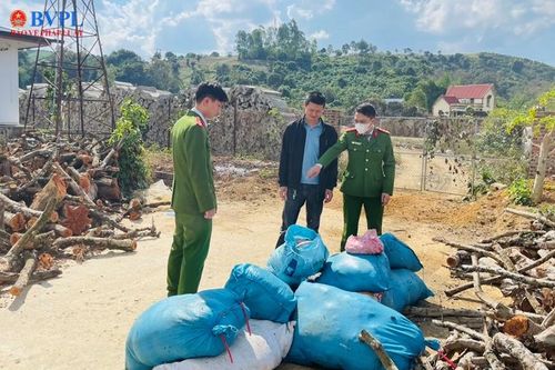 Phát hiện hơn nửa tấn thực phẩm hôi thối đang trên đường 'tuồn' về Hà Nội