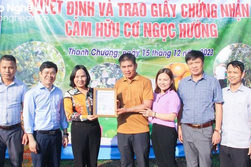 Sản phẩm cam Thanh Chương được chứng nhận đạt tiêu chuẩn hữu cơ