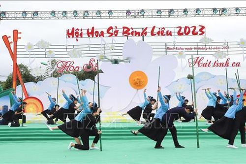 Về Bình Liêu nghe hoa sở 'hát' tình ca