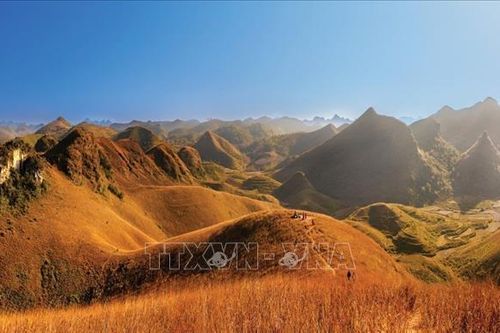 Cao Bằng tổ chức Lễ hội đồi cỏ cháy Ba Quáng
