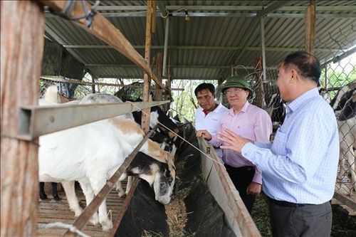 Tăng cường khâu khảo sát, đánh giá nhu cầu vay vốn chính sách