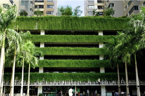 Tiêu chuẩn xanh cho không gian làm việc: Nhiều cây là chưa đủ, phải có sự tính toán khoa học để đạt hiệu quả tối ưu