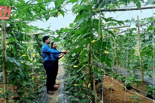 Ngọc Lặc tạo nguồn 'hạt giống đỏ' là người dân tộc thiểu số