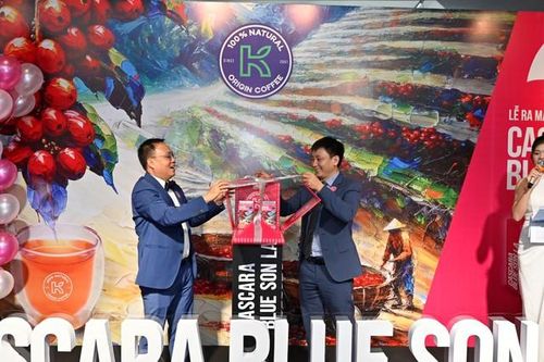 Trà Cascara Blue Sơn La: Gia tăng giá trị cho cây cà phê Việt