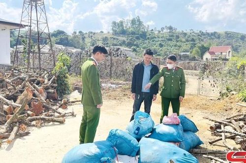 Phát hiện, xử lý 542kg sản phẩm động vật hôi thối