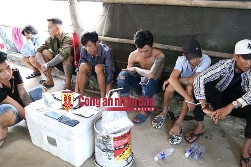 Bắt quả tang 7 đối tượng mua bán, sử dụng 'hàng đá' trong chuồng bò