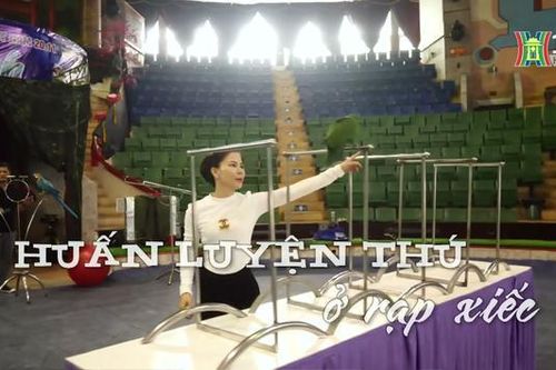 Huấn luyện thú ở rạp xiếc | Nhịp sống Hà Nội | 16/12/2023