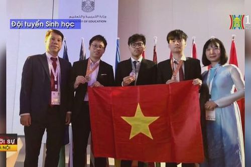 Các đội tuyển dự Olympic của Việt Nam đạt kết quả cao