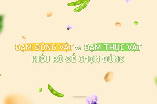 Hiểu toàn diện về đạm động vật và đạm thực vật để ăn khỏe, sống lành