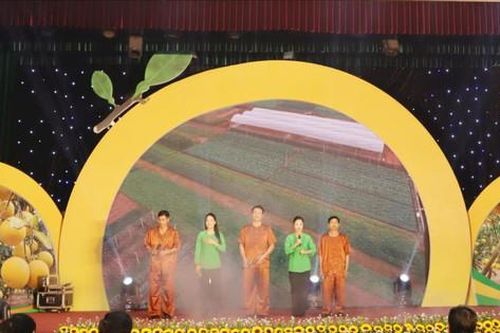 12 huyện thi tìm hiểu khoa học và xúc tiến tiêu thụ sản phẩm bưởi Hà Nội