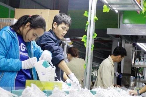 Da giày: Giữ vững vị thế ngành xuất khẩu chủ lực