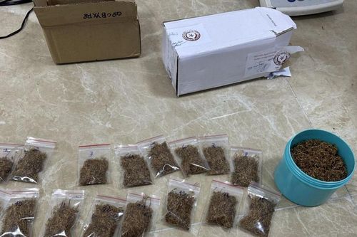 Bắc Giang: Bắt đối tượng mua bán trái phép 'cỏ Mỹ'