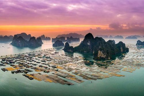 Vinh danh tác phẩm ảnh, video về 'Việt Nam hạnh phúc – Happy Vietnam năm 2023'
