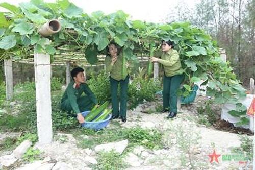 Ban CHQS huyện Bạch Long Vĩ (thành phố Hải Phòng): Vượt khó, tăng gia hiệu quả