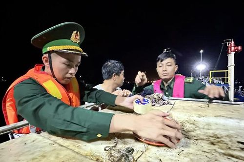 Quảng Ngãi: Bắt giữ tàu vận tải mua bán xăng dầu lậu