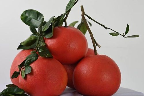 Bật mí loại bưởi tiến vua cứ đến Tết nhà giàu tranh nhau mua