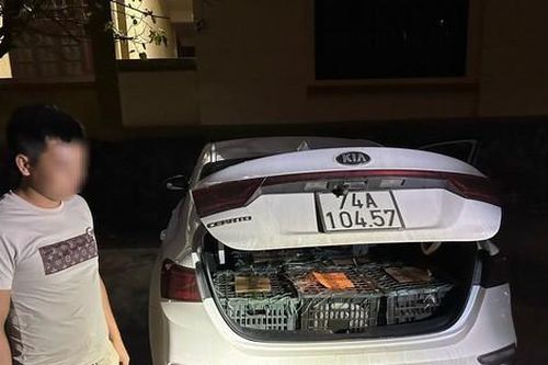 Lật tẩy 'bí mật' trong cốp xe ô tô đậu trước nhà hàng ở thị trấn Gio Linh