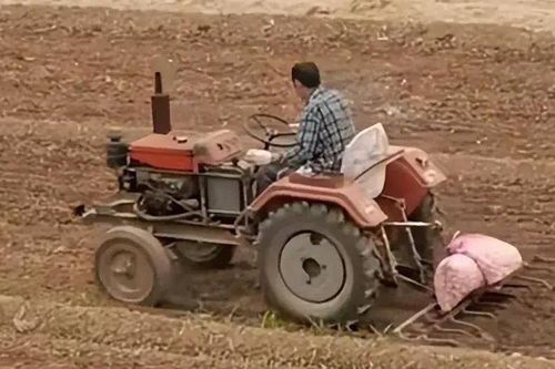 Góa vợ 9 năm, chàng rể năm nào cũng đến nhà bố mẹ vợ làm một việc xúc động