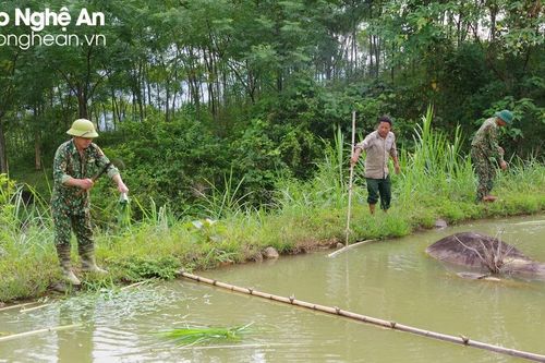 Bộ đội Biên phòng Nghệ An đồng hành cùng người dân biên giới