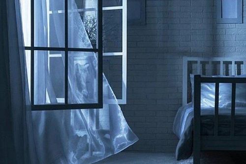 Ngủ vào ban đêm, không nên mở cửa sổ, vì sao?