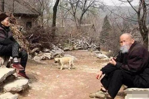 'Đàn ông sợ gà, đàn bà sợ cừu', tại sao ông bà ta lại nói như vậy?