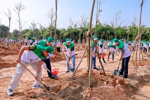 Vĩnh Phúc: Phát động Lễ trồng cây năm 2024 'Cùng Honda giữ mãi màu xanh Việt Nam'