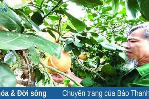 Nỗ lực giữ và phát triển nghề