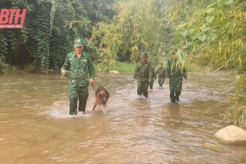 Chủ động tuần tra, kiểm soát đường biên, cột mốc dịp cuối năm
