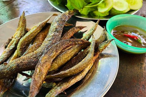 Con cá khô vùng đầu nguồn