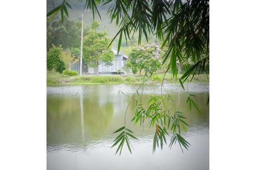 Thơ Nguyễn Đình Phê: Hẹn
