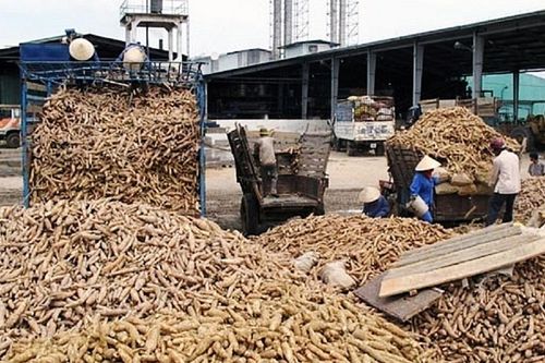 Xuất khẩu mì và sản phẩm từ mì đạt 1,16 tỷ USD