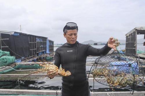 Tràn lan nuôi trồng thủy sản ngoài vùng quy hoạch - Kỳ 2: Thu hẹp vùng nuôi