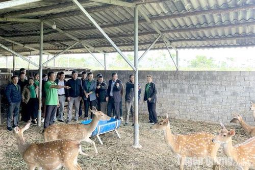 Đánh giá việc thực hiện Dự án về tuyên truyền, vận động nông dân xử lý rác thải
