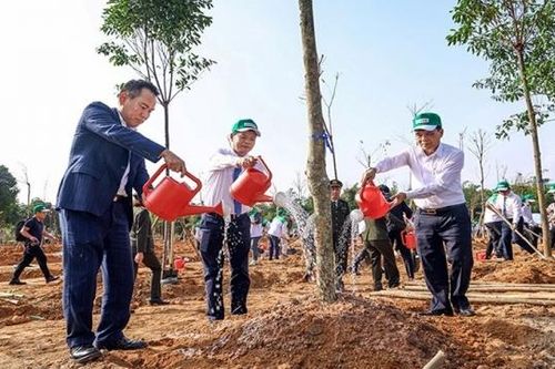 Vĩnh Phúc: Phát động Lễ trồng cây năm 2024