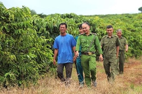 Giữ vững ANTT mùa thu hoạch nông sản