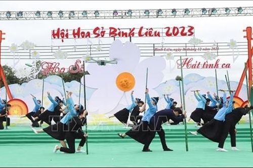 Về Bình Liêu nghe hoa sở 'hát' tình ca