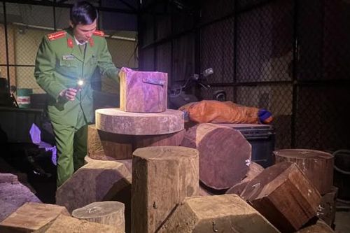 Một ngày phát hiện 3 vụ buôn bán, vận chuyển gỗ quý trái phép ở Quảng Bình