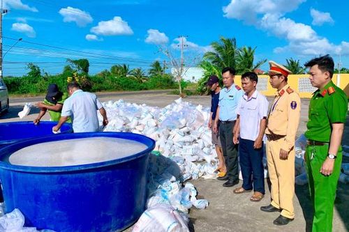Tiêu hủy trên 2,7 triệu tôm giống không chứng nhận kiểm dịch