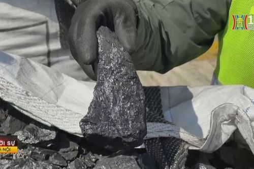 Colombia thu giữ hai tấn cocaine ngụy trang trong túi than