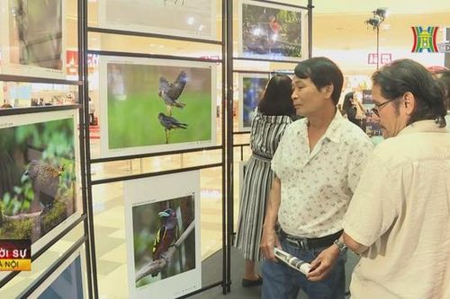 Đưa ảnh từ Việt Nam ra nước ngoài phải xin phép